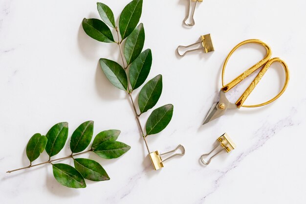 Trombones avec des plantes en pose à plat