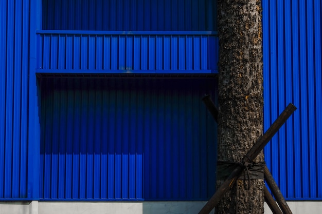 Tronc d'arbre devant le mur bleu texturé