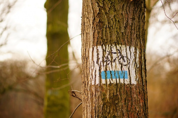 Tronc d'arbre avec un signe peint d'un vélo dessus