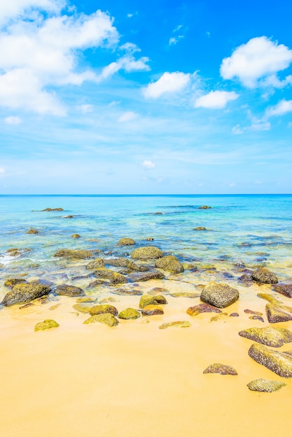 Tropical plage de la mer