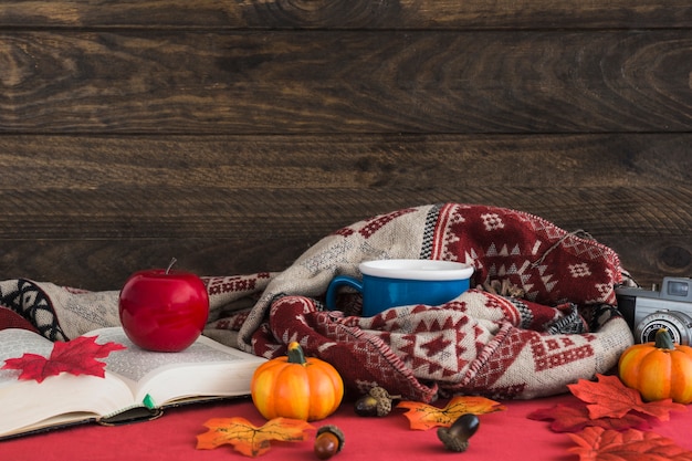 Photo gratuite trucs d'automne près du mur en bois