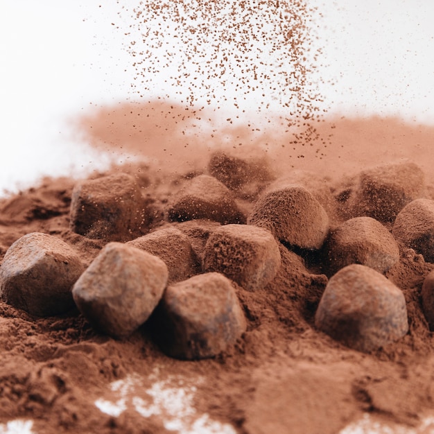 Truffes au chocolat avec poudre de cacao