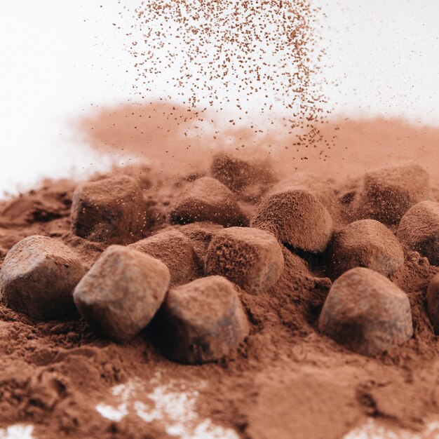 Truffes au chocolat avec poudre de cacao