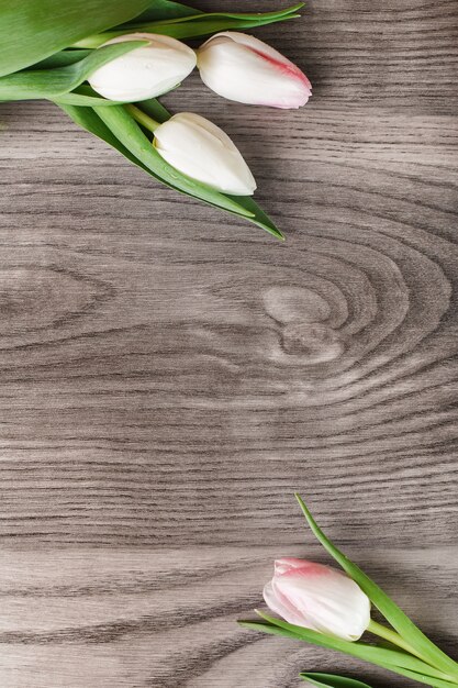 Tulipes blanches créant un cadre sur bois