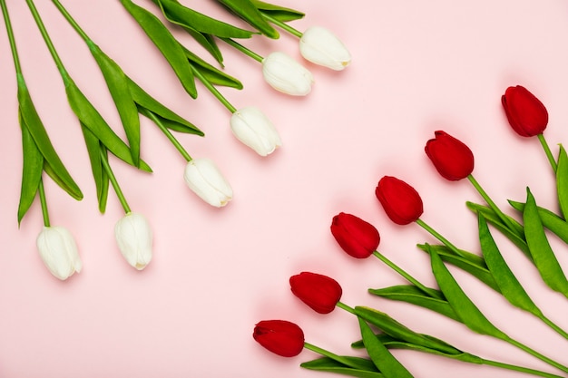 Photo gratuite tulipes blanches et rouges alignées sur la table