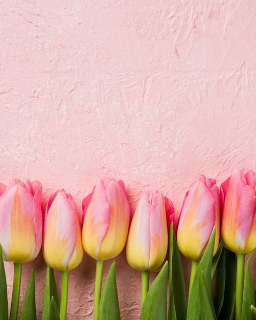 Tulipes d'espace de copie alignées sur la table