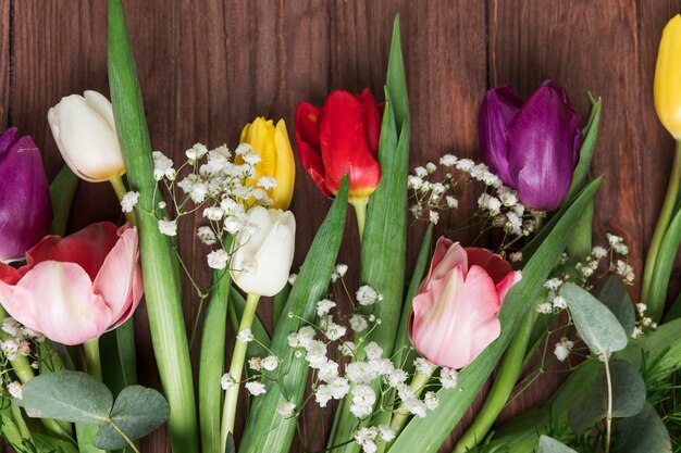 Tulipes fraîches colorées et fleur d&#39;haleine de bébé sur le bureau en bois