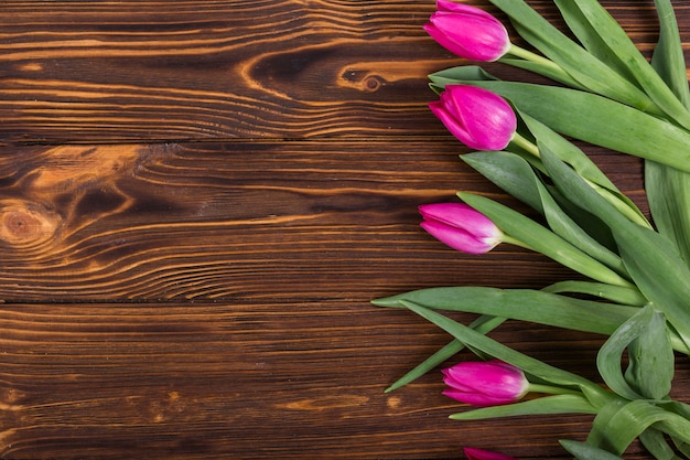 Tulipes roses dans la rangée