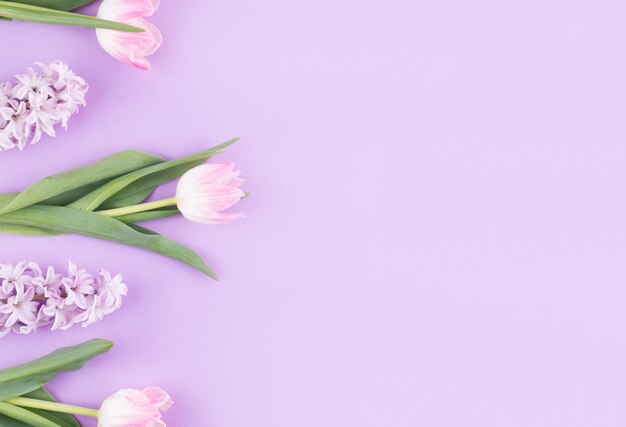 Tulipes roses avec des fleurs sur une table violette