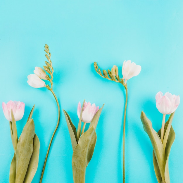 Photo gratuite tulipes roses avec des fleurs sur la table