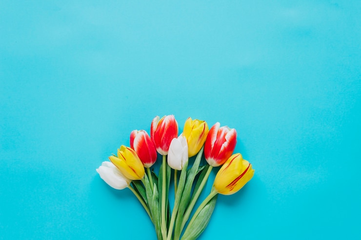 Photo gratuit tulipes tendre lumineux en tas