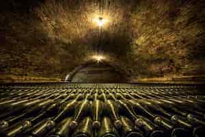 Photo gratuite un tunnel de cave avec des bouteilles en verre