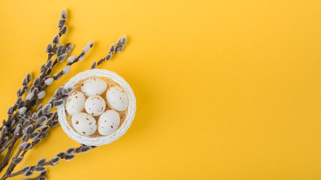 Œufs de poule blancs dans un bol avec des branches de saule