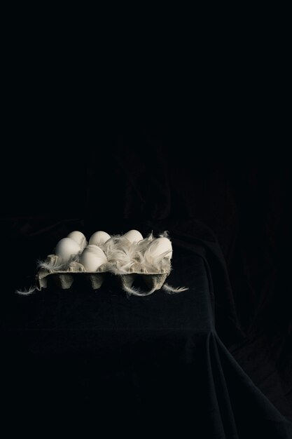 Œufs de poulet avec des plumes dans un récipient entre les ténèbres