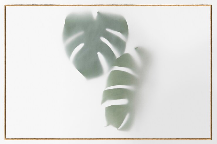 Photo gratuit l'usine de monstera delicosa laisse une ombre avec un cadre doré