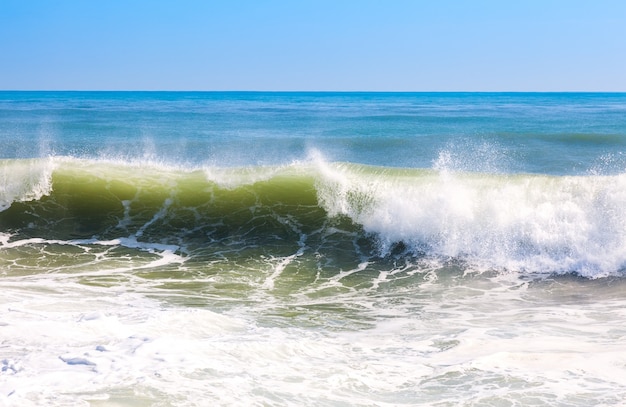 Vague de haute mer