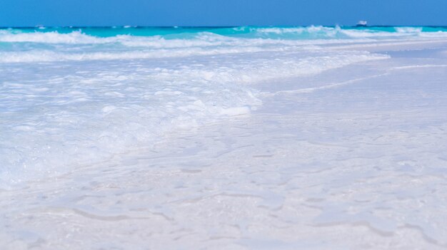 Vagues de l'eau bleue au bord d'un océan