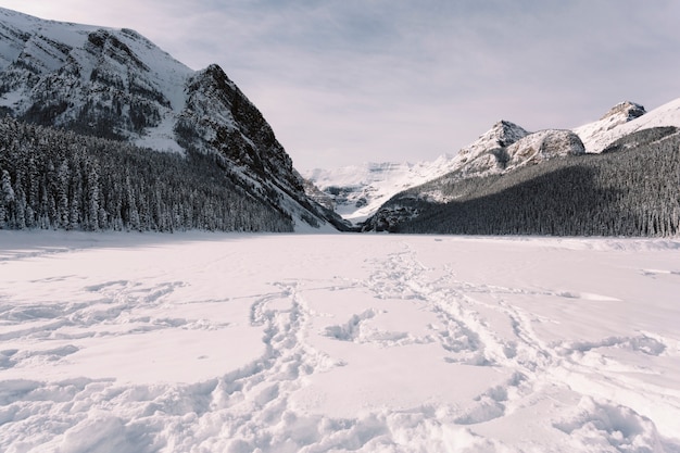 Vallée enneigée dans les montagnes