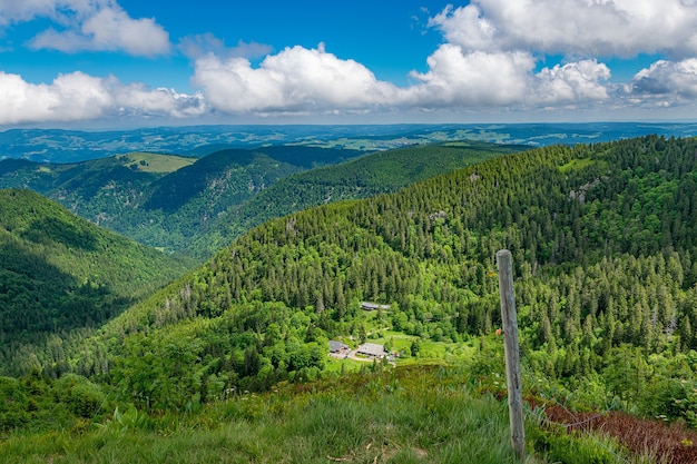 Vallée pittoresque avec beaucoup d'arbres sous un ciel bleu nuageux