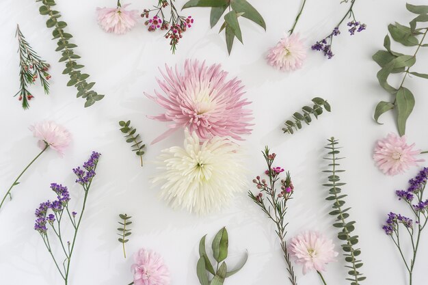 Variété de fleurs décoratives sur fond blanc