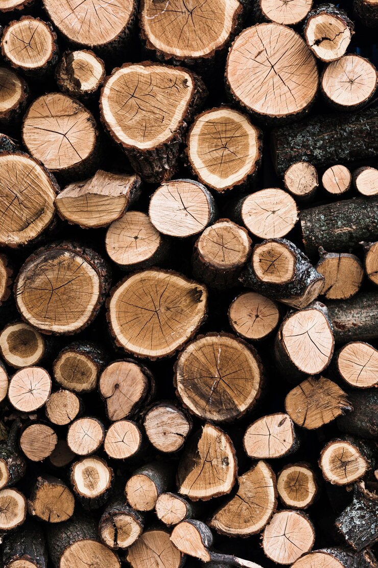 Photo gratuit variété de fond de troncs d'arbres en bois coupés