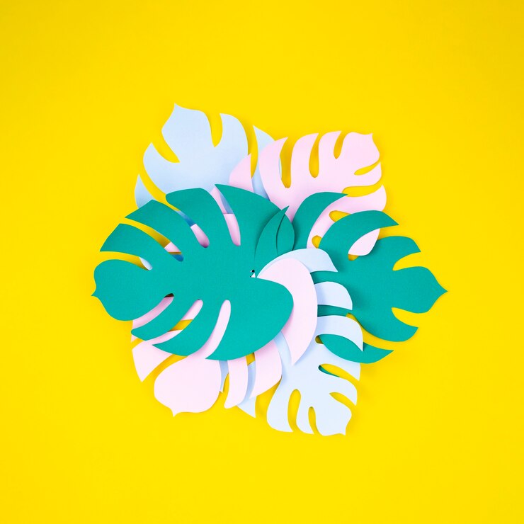 Photo gratuit variété vue de dessus de feuilles de monstera colorées
