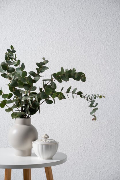 Vase blanc avec eucalyptus sur table