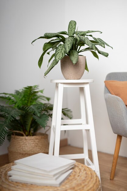 Vase de décoration de plantes élégantes