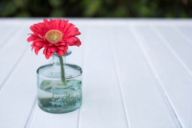 Vase en verre avec fleur rose