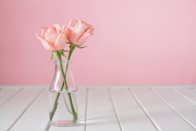 vase en verre Joli avec deux fleurs