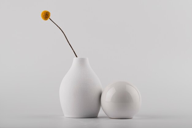 Vases modernes avec composition végétale