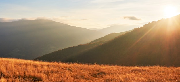 La végétation des hautes terres estivale modeste et les couleurs exceptionnellement belles fleurissent en automne, avant le froid. Bleuets rouge vif, vert forêt de conifères, orange buk- montagnes sinie- charme fantastique.