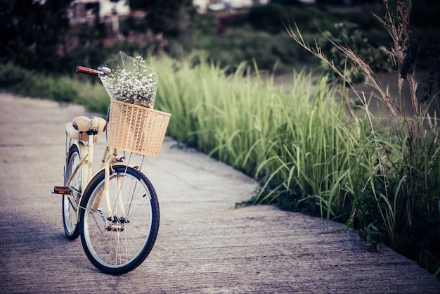 Vélos garés dans la rue dans le parc.