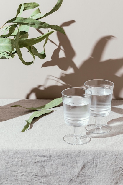 Verres d'eau avec ombre