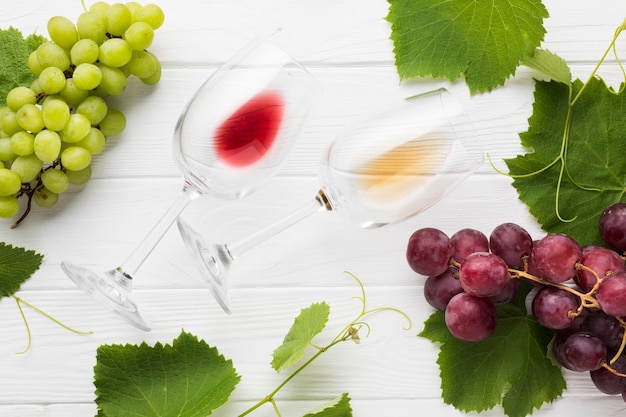 Verres de vin vides rouges et blancs