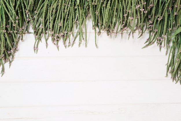 Vert sur la table en bois