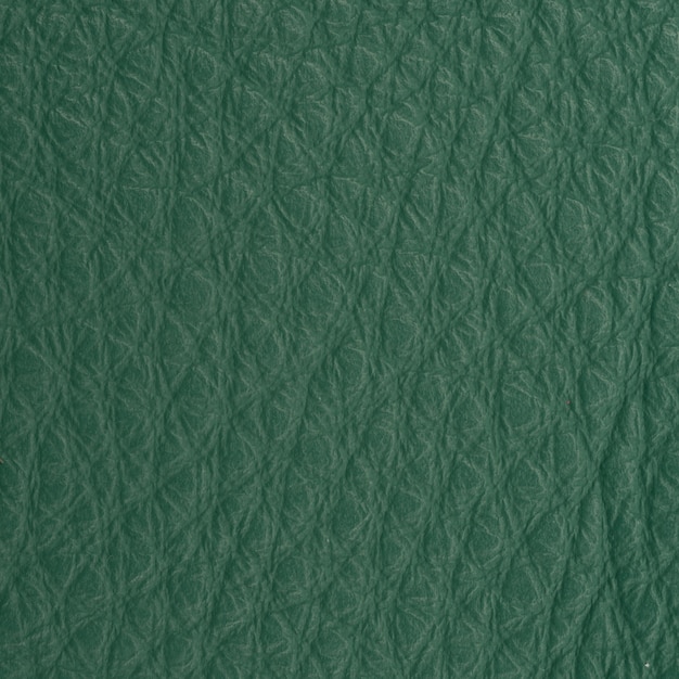 Vert vert texture macro shot