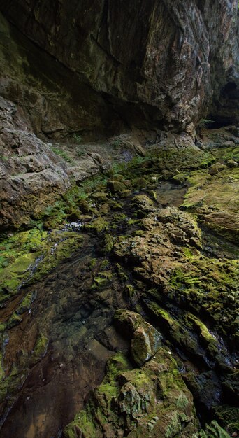 Vertical grand angle tourné des rochers recouverts de mousse capturés à Skrad, Croatie