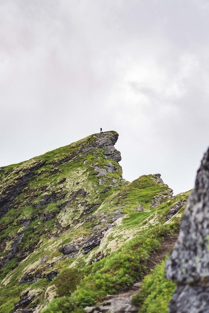 Vertical d'un rocher vert près du village de Reinebringen des îles Lofoten