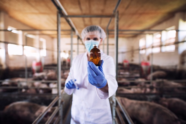 Vétérinaire en vêtements de protection tenant une bouteille avec des médicaments à la ferme porcine