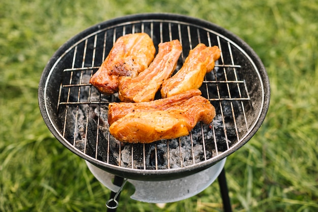 Viande sur le grill dans la nature