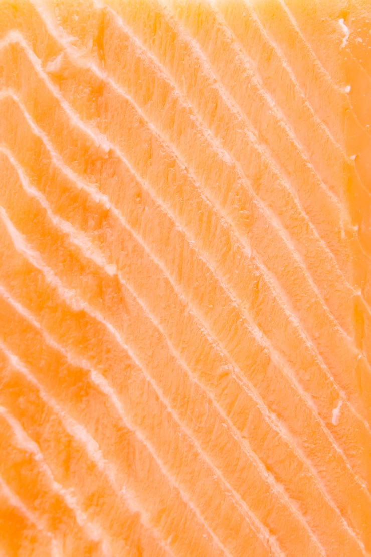 Photo gratuit viande de saumon crue