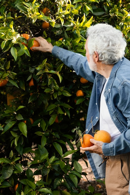 Photo gratuite vieil homme debout à côté de ses orangers à l'extérieur