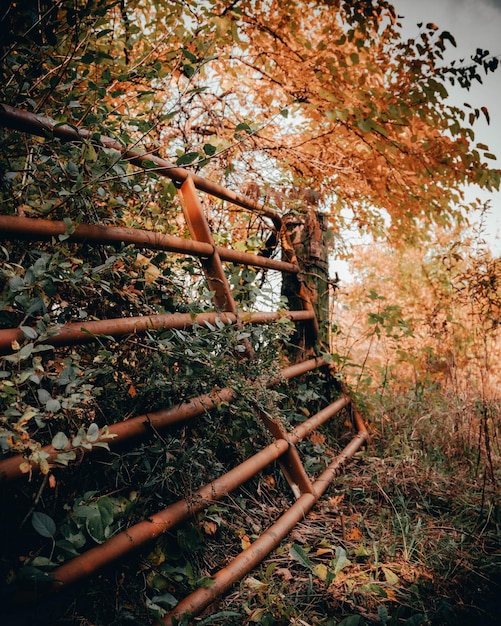 Photo gratuite une vieille clôture métallique de fortune dans les bois.