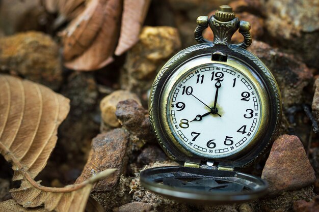 Vieille Montre De Poche Ancienne Placée Sur Le Sol Dans La Forêt Et La  Lumière Du Soleil Du Matin | Photo Premium