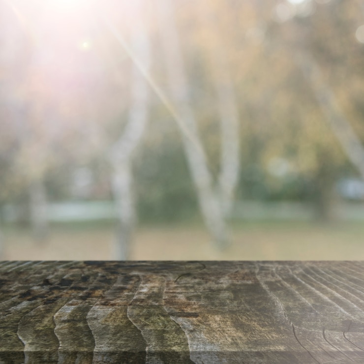 Photo gratuit vieille table en bois devant les arbres pendant la saison d&#39;automne