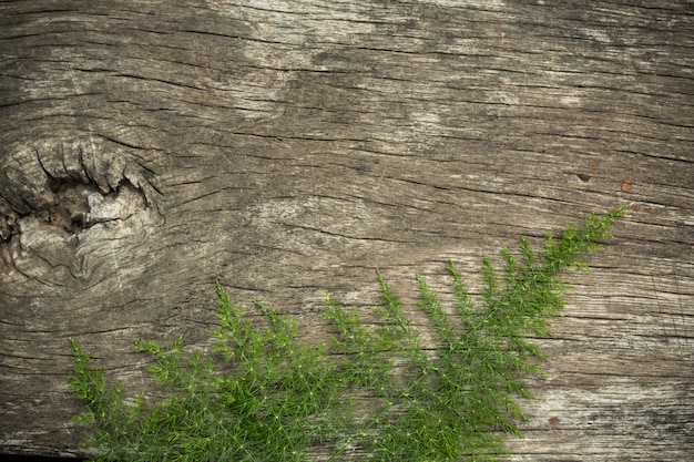 Photo gratuite vieux bois surface avec de l'herbe en bois utilisé comme arrière-plan