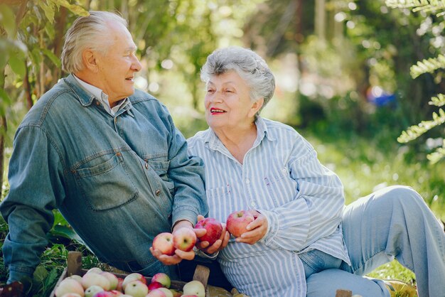 Vieux couple assis dans un jardin d'été avec récolte