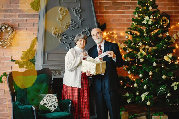 Un vieux couple élégant fête Noël