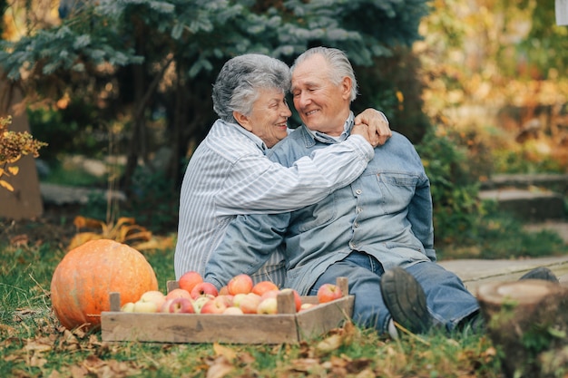 Vieux, couple, sittingin, été, jardin, récolte